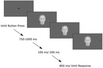 Social Saliency of the Cue Slows Attention Shifts